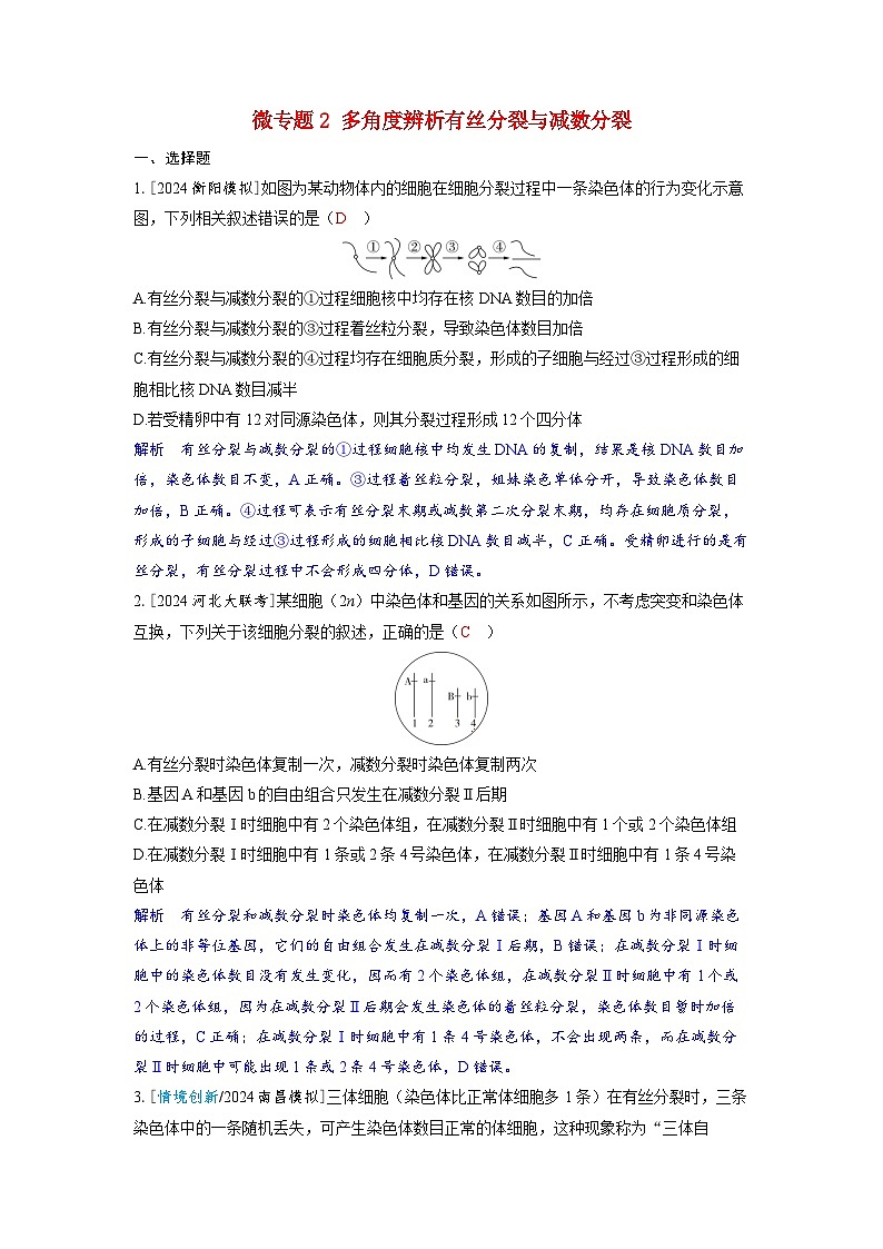 备考2024届高考生物一轮复习分层练习第四章细胞的生命历程微专题2多角度辨析有丝分裂与减数分裂第1页