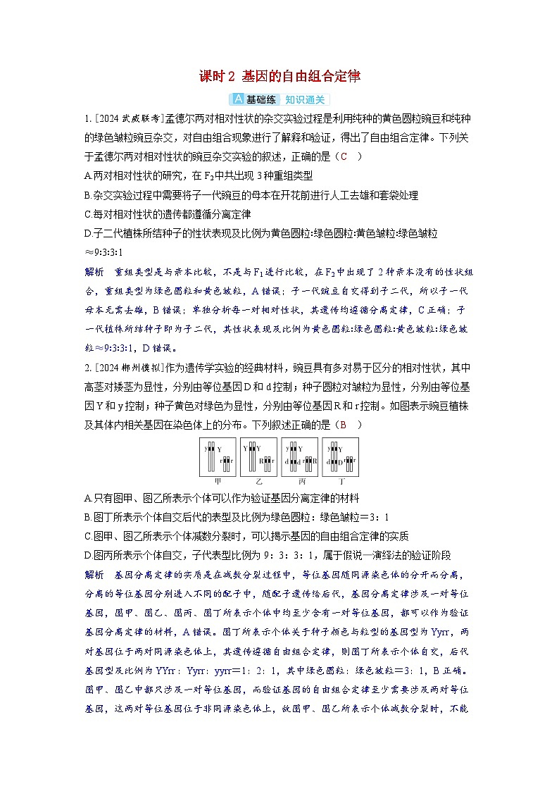 备考2024届高考生物一轮复习分层练习第五章基因的传递规律课时2基因的自由组合定律第1页