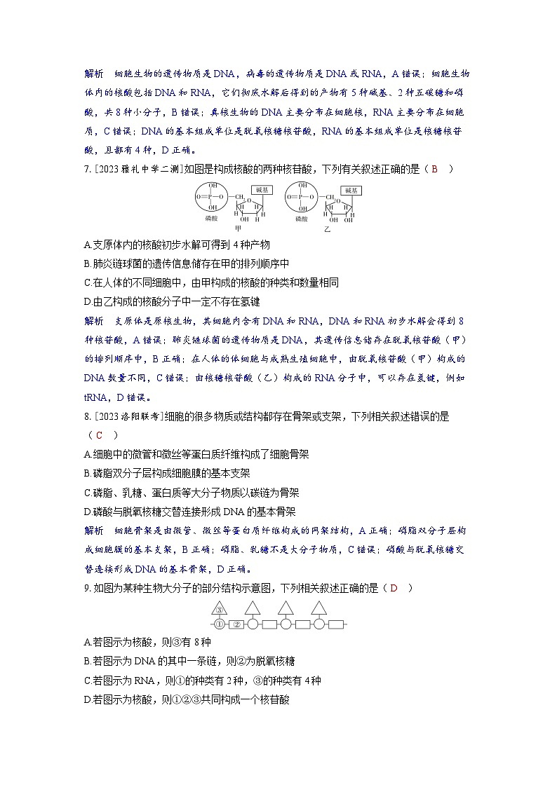 备考2024届高考生物一轮复习分层练习第一章细胞的概述与分子组成课时3蛋白质和核酸03
