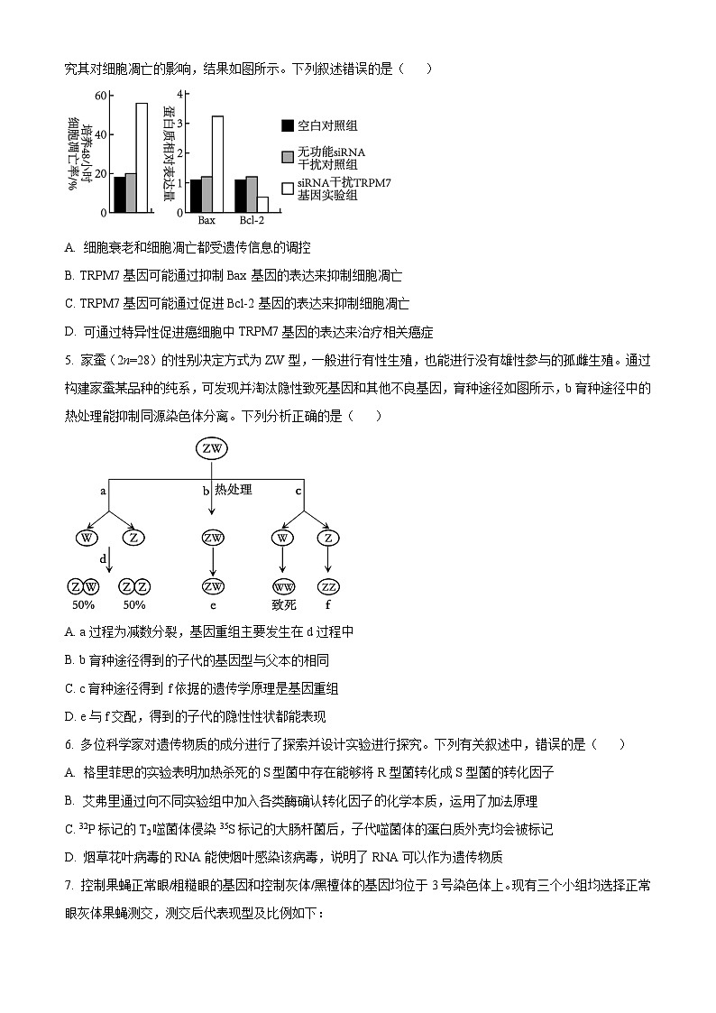 河南省郑州市宇华实验学校2023-2024学年高三上学期1月期末考试生物试卷（Word版附解析）02