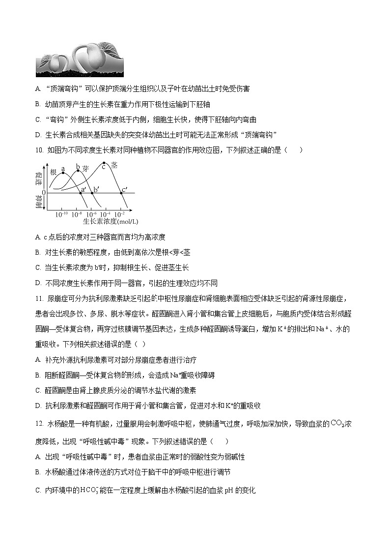 2024宜宾兴文二中高二上学期1月期末生物试题含解析03