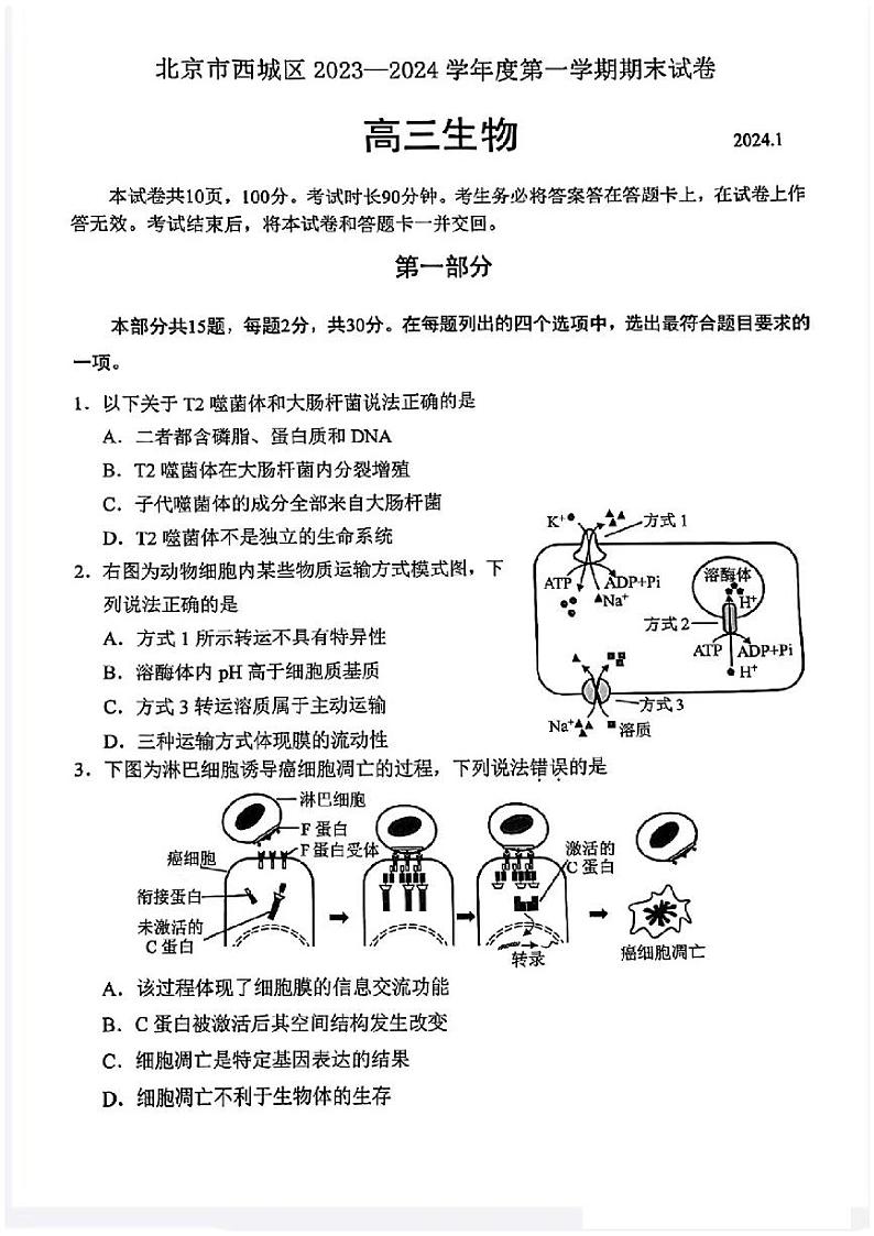 北京市西城区2024届高三上学期期末生物试卷及答案第1页