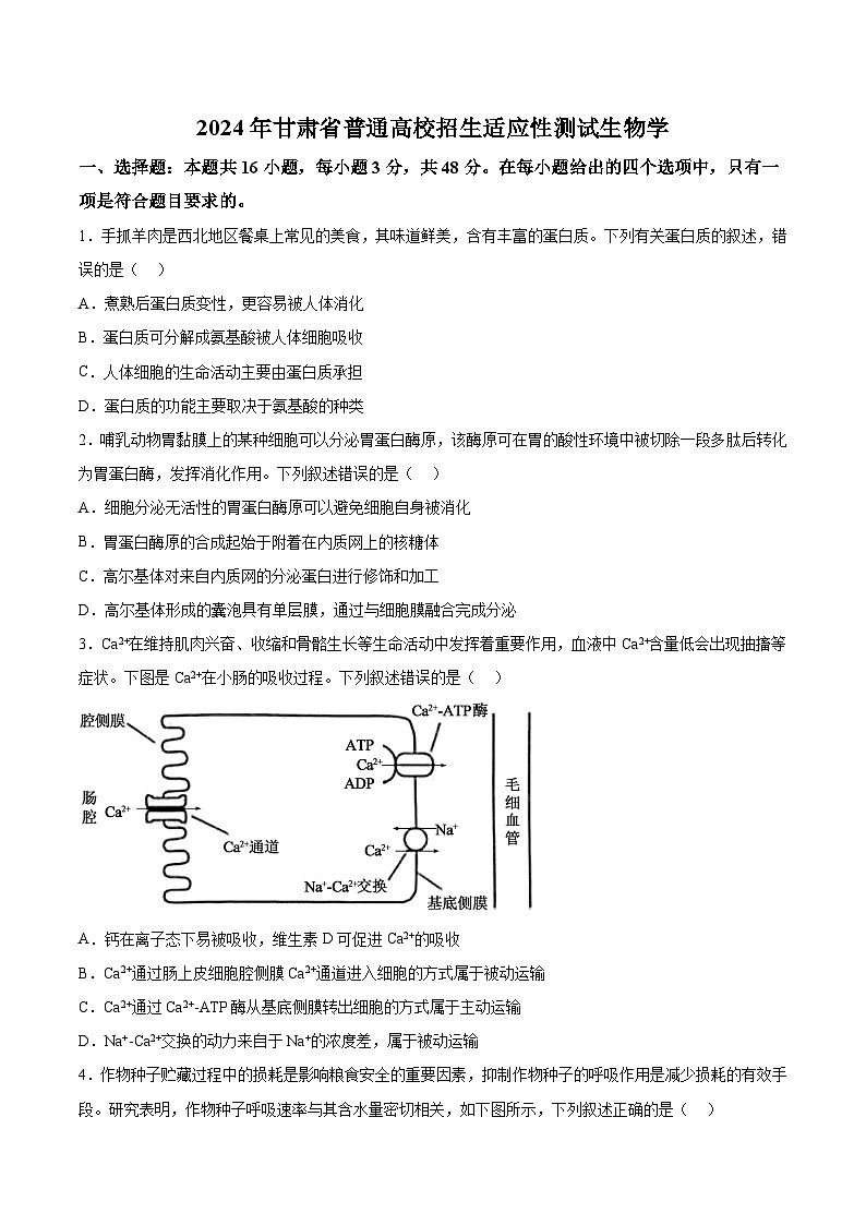 甘肃省联考2024届高三新高考适应性测试生物试卷（含答案）第1页