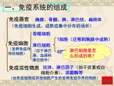 人教版（2019）選擇性必修1課件：第4章 免疫調節(jié)課件