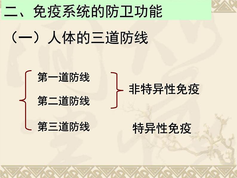 人教版（2019）选择性必修1课件：第4章 免疫调节课件第6页