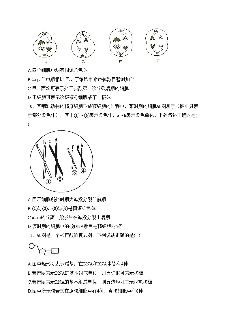 衡水市第十三中学2022-2023学年高一下学期质检考试（一）生物试卷(含答案)第3页