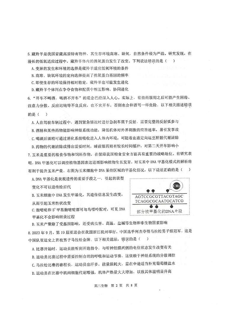 2024汕头潮阳区高二上学期期末考试生物PDF版含答案02