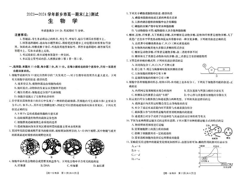 2024新乡高一上学期期末考试生物PDF版含解析01