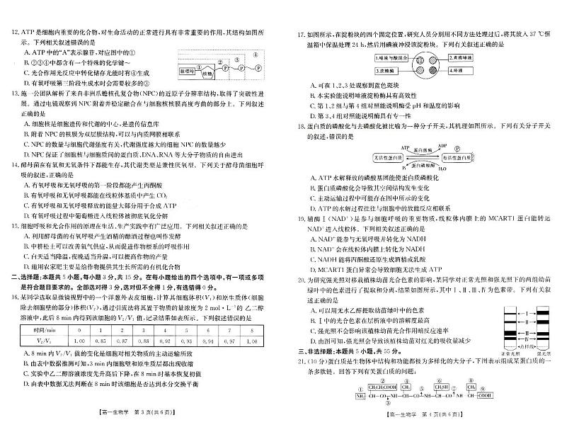2024新乡高一上学期期末考试生物PDF版含解析02