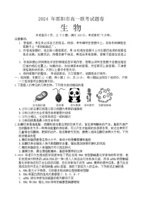 2024邵阳高一上学期1月期末联考生物试题无答案