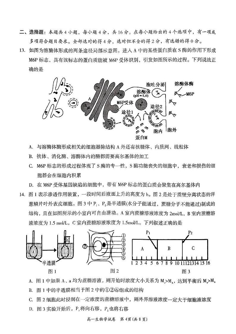 2024岳阳高一上学期1月期末联考生物试题PDF版含答案02