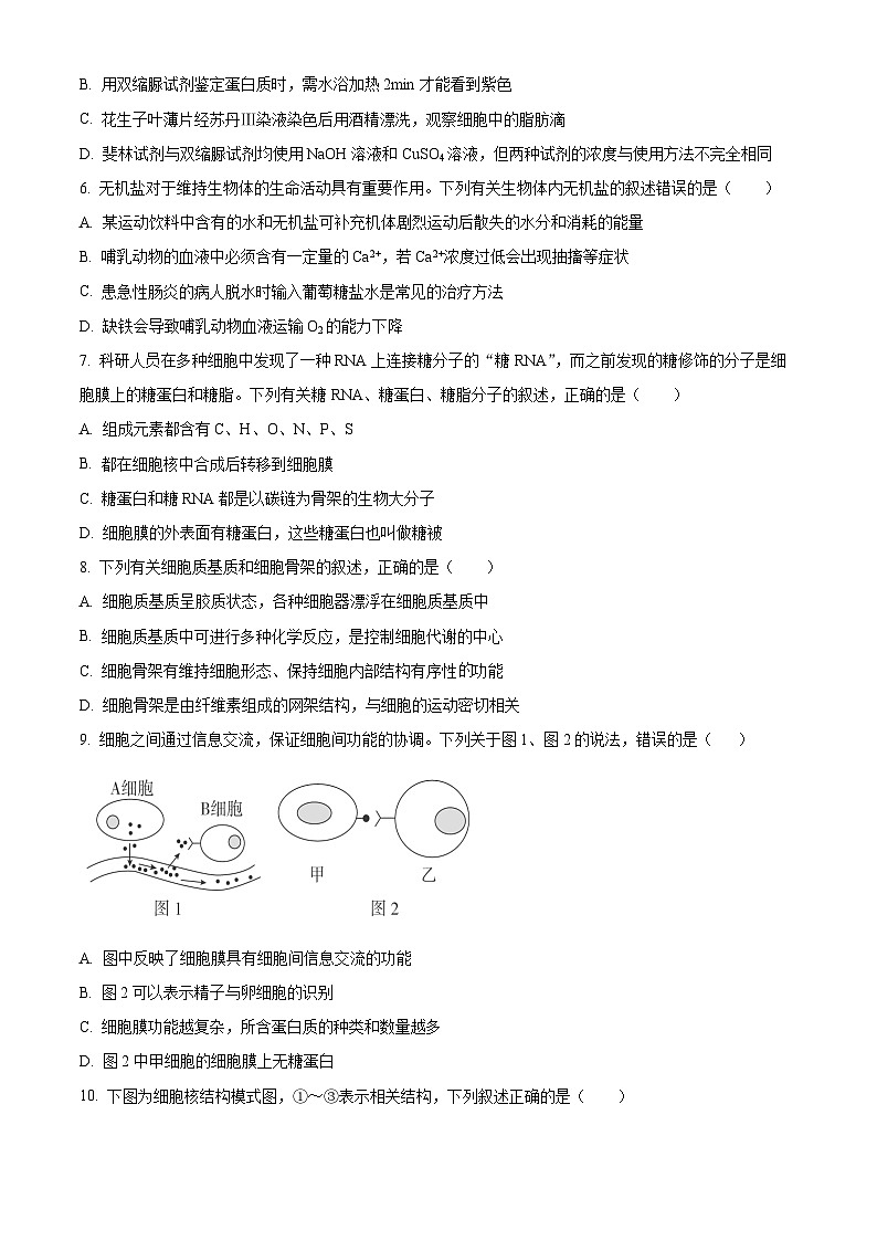 2024宜宾兴文二中高一上学期1月期末生物试题含解析02