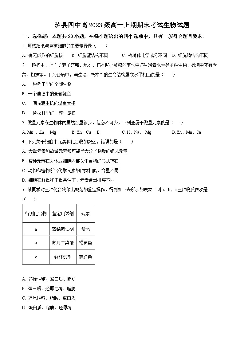 四川省泸州市泸县四中2023-2024学年高一1月期末生物试题无答案第1页