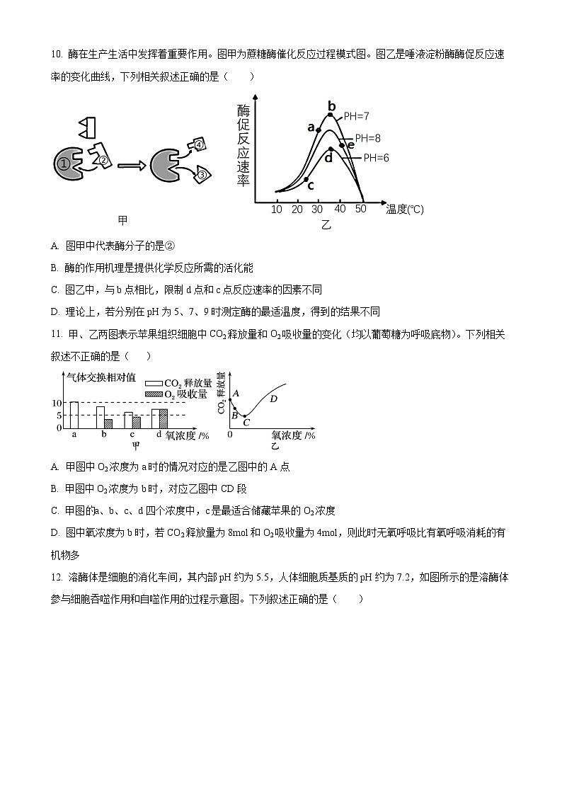 四川省泸州市泸县四中2023-2024学年高一1月期末生物试题无答案第3页