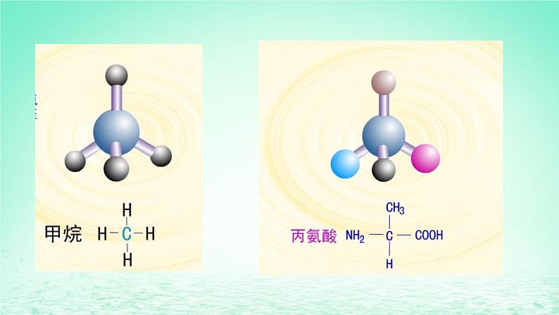 2023_2024学年高一生物期末复习第2单元组成细胞的分子复习课件新人教版必修1第5页