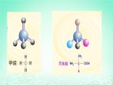 2023_2024学年高一生物期末复习第2单元组成细胞的分子复习课件新人教版必修1