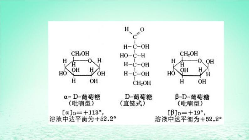 2023_2024学年高一生物期末复习第2单元组成细胞的分子复习课件新人教版必修1第7页