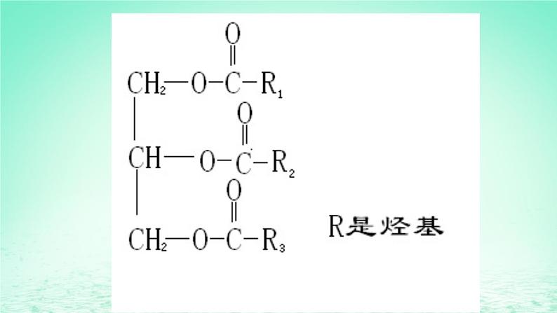 2023_2024学年高一生物期末复习第2单元组成细胞的分子复习课件新人教版必修1第8页