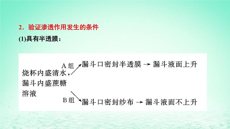 2023_2024学年高一生物期末复习第4单元细胞的物质输入和输出复习课件新人教版必修1第6页