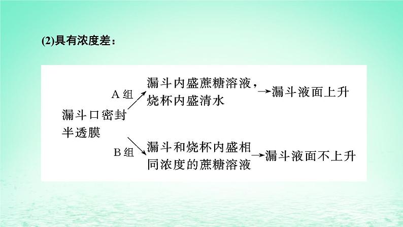 2023_2024学年高一生物期末复习第4单元细胞的物质输入和输出复习课件新人教版必修1第7页