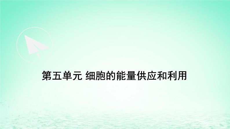 2023_2024学年高一生物期末复习第5单元细胞的能量供应和利用复习课件新人教版必修1第1页