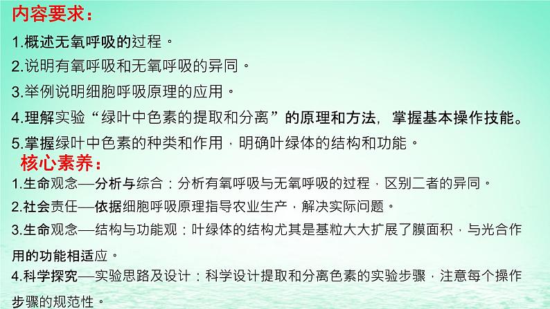 2023_2024学年高一生物期末复习第5单元细胞的能量供应和利用复习课件新人教版必修1第3页