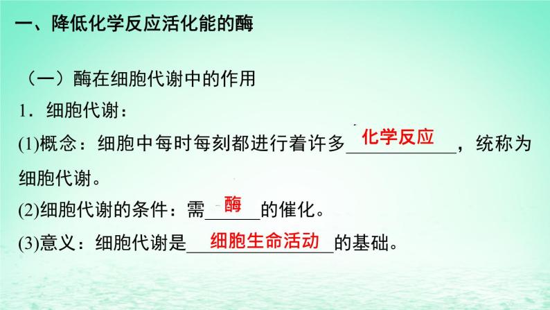 2023_2024学年高一生物期末复习第5单元细胞的能量供应和利用复习课件新人教版必修104