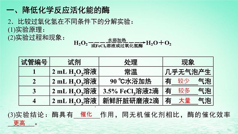 2023_2024学年高一生物期末复习第5单元细胞的能量供应和利用复习课件新人教版必修1第5页