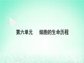 2023_2024学年高一生物期末复习第6单元细胞的生命历程复习课件新人教版必修1