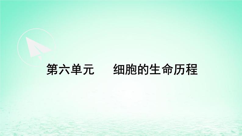 2023_2024学年高一生物期末复习第6单元细胞的生命历程复习课件新人教版必修1第1页