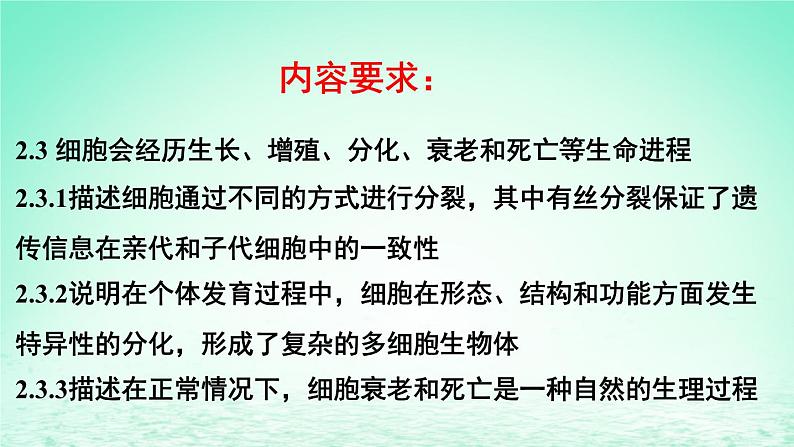 2023_2024学年高一生物期末复习第6单元细胞的生命历程复习课件新人教版必修1第2页