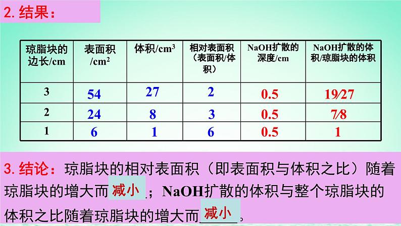 2023_2024学年高一生物期末复习第6单元细胞的生命历程复习课件新人教版必修1第4页