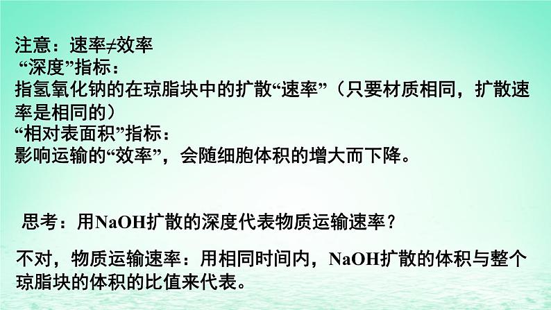 2023_2024学年高一生物期末复习第6单元细胞的生命历程复习课件新人教版必修1第8页