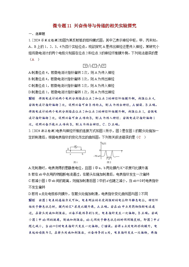 备考2024届高考生物一轮复习强化训练第八章动物和人体生命活动的调节微专题11兴奋传导与传递的相关实验探究01