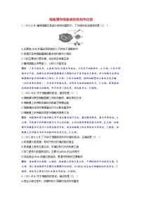 备考2024届高考生物一轮复习强化训练第二章细胞的基本结构和物质的运输课时1细胞膜和细胞核的结构和功能