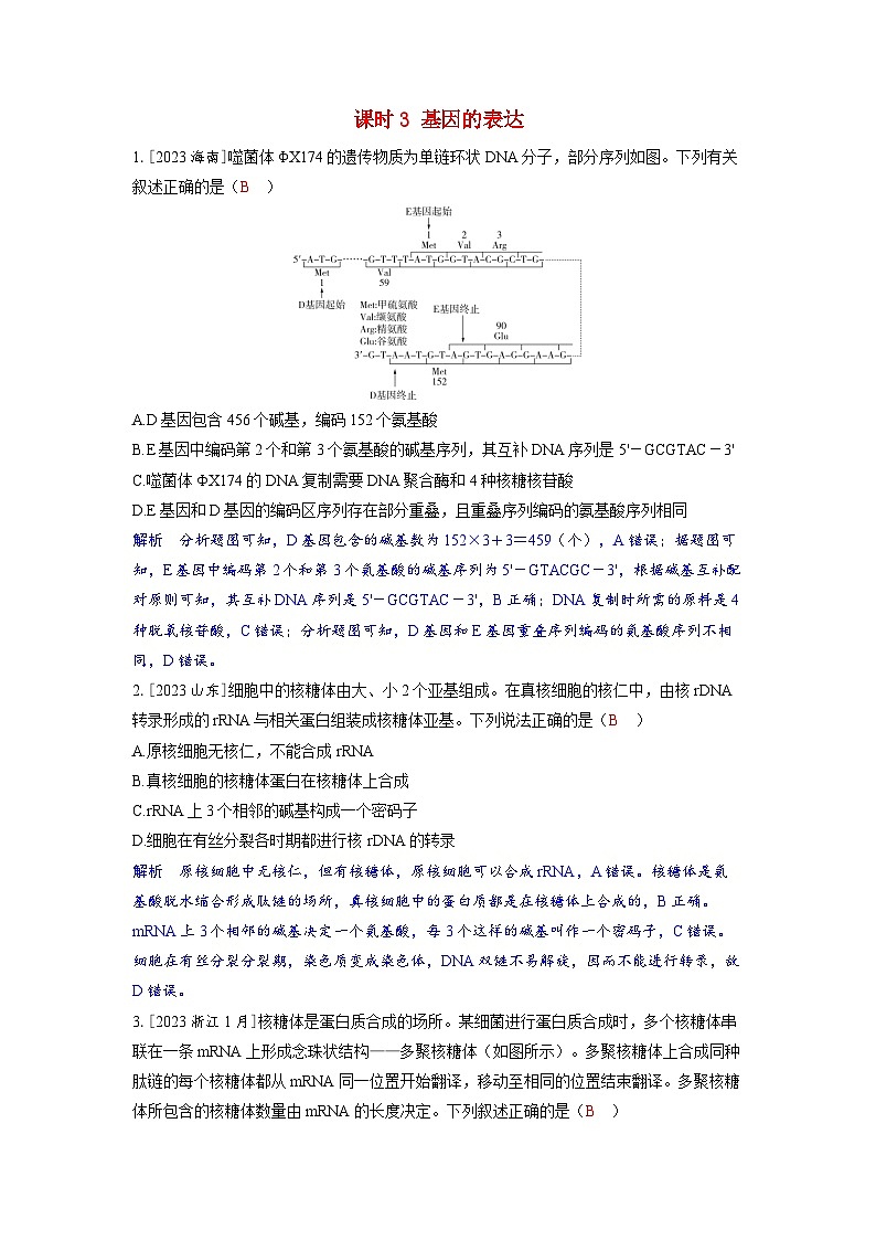 备考2024届高考生物一轮复习强化训练第六章遗传的分子基础课时3基因的表达第1页