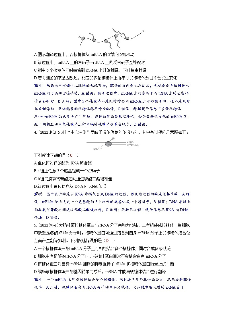 备考2024届高考生物一轮复习强化训练第六章遗传的分子基础课时3基因的表达第2页