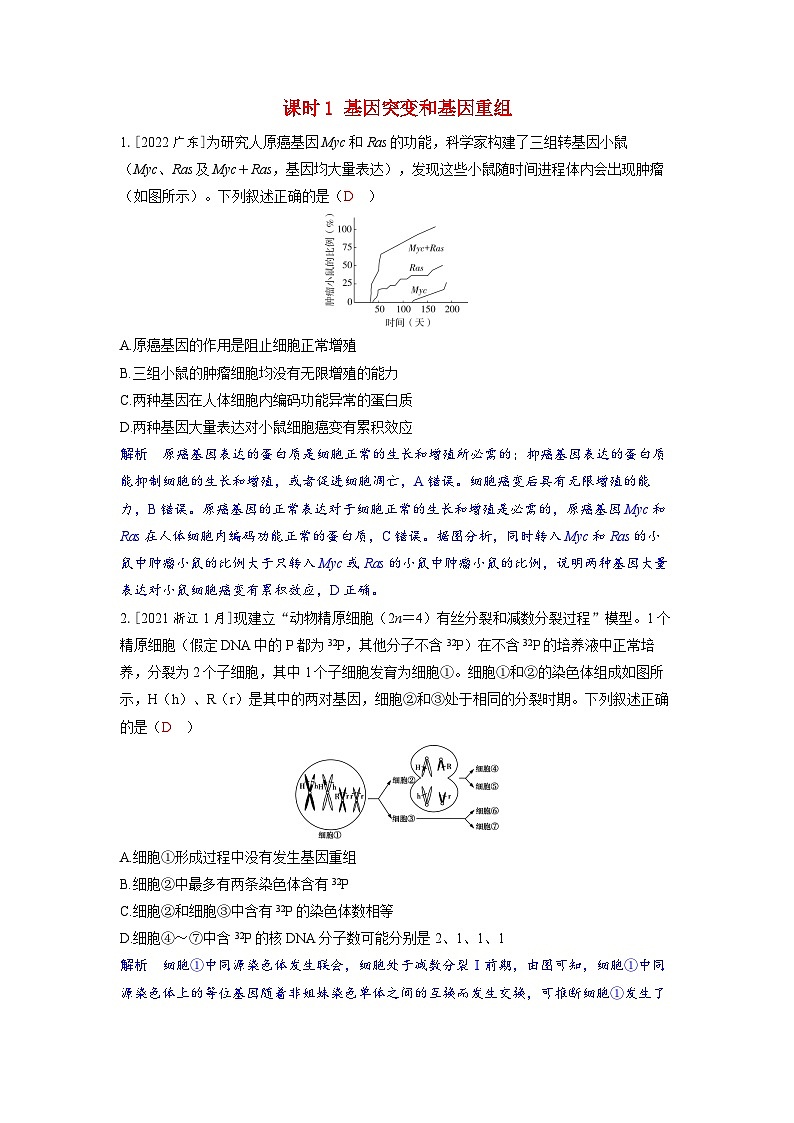 备考2024届高考生物一轮复习强化训练第七章生物的变异和进化课时1基因突变和基因重组第1页