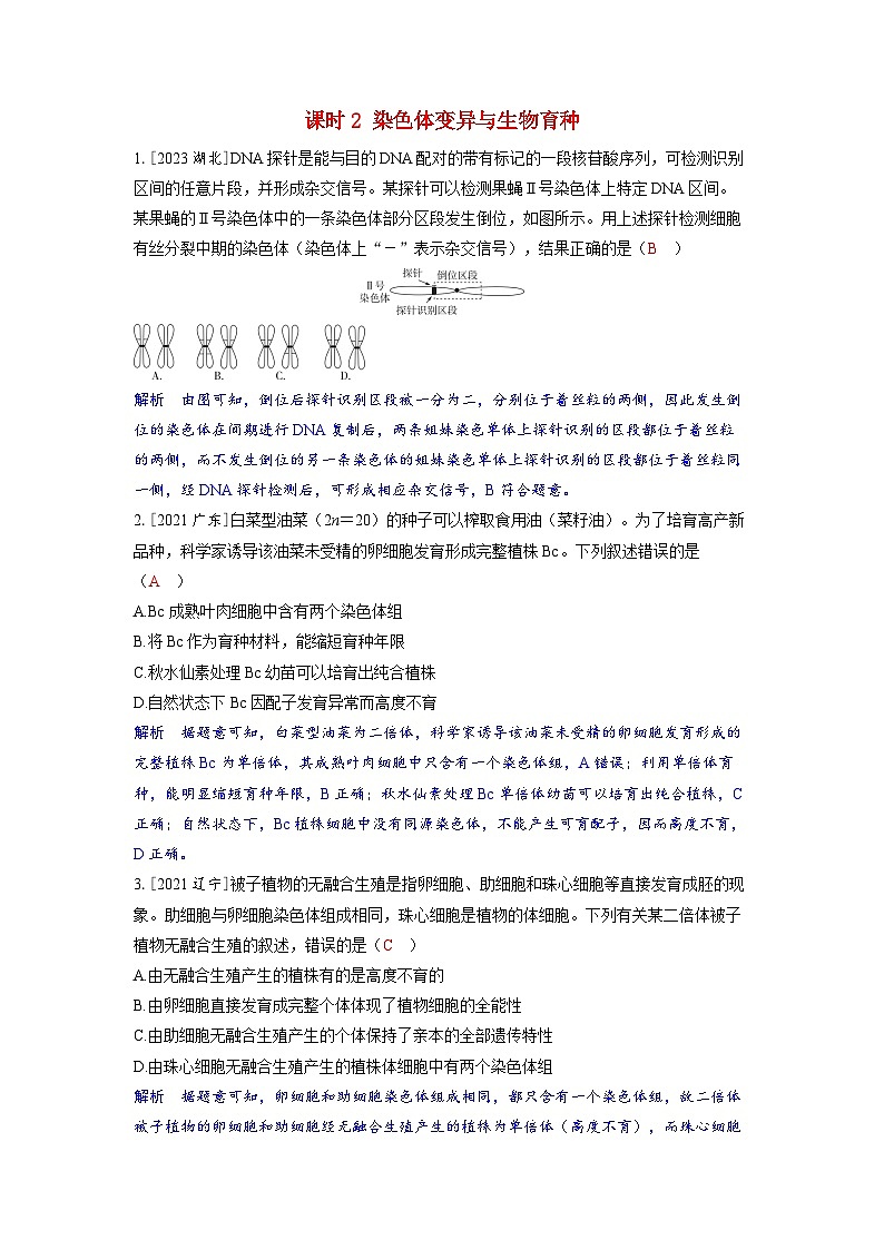 备考2024届高考生物一轮复习强化训练第七章生物的变异和进化课时2染色体变异与生物育种01