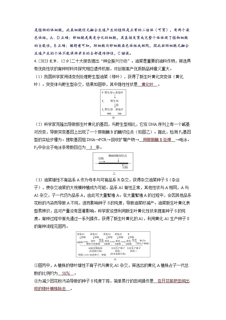 备考2024届高考生物一轮复习强化训练第七章生物的变异和进化课时2染色体变异与生物育种02