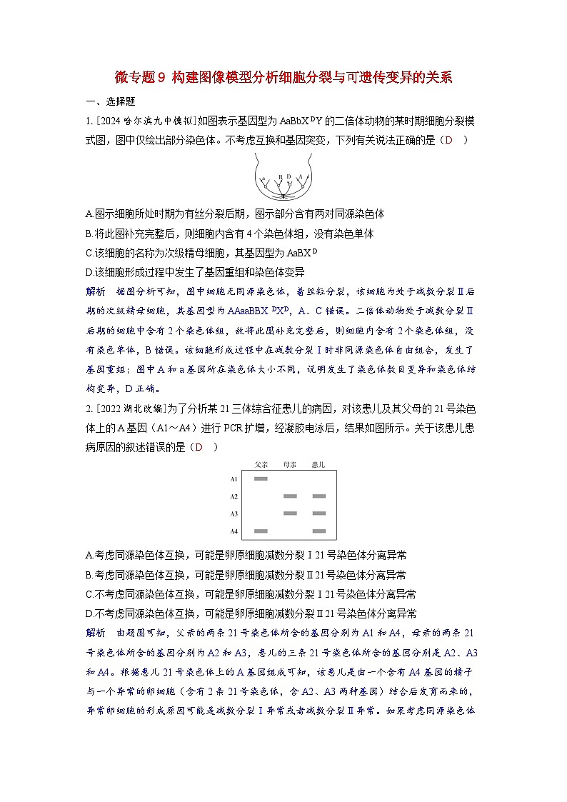 备考2024届高考生物一轮复习强化训练第七章生物的变异和进化微专题9构建图像模型分析细胞分裂与可遗传变异的关系01