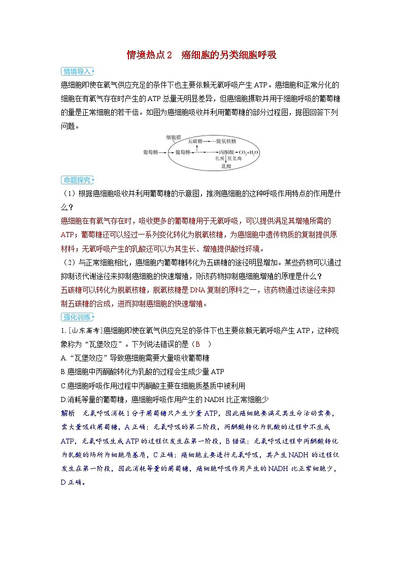 备考2024届高考生物一轮复习强化训练第三章细胞代谢课时3细胞呼吸的原理和应用情境热点2　癌细胞的另类细胞呼吸第1页