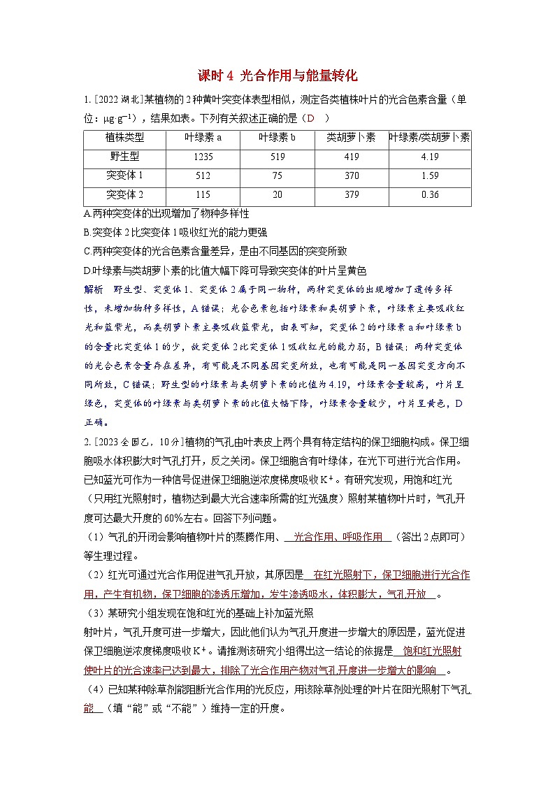 备考2024届高考生物一轮复习强化训练第三章细胞代谢课时4光合作用与能量转化第1页