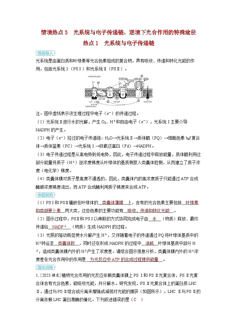 备考2024届高考生物一轮复习强化训练第三章细胞代谢课时4光合作用与能量转化情境热点3　光系统与电子传递链逆境下光合作用的特殊途径第1页