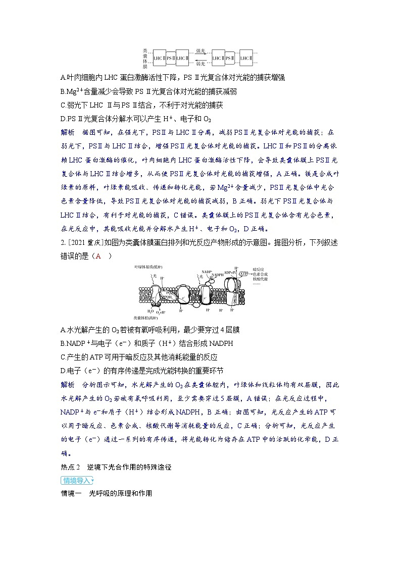 备考2024届高考生物一轮复习强化训练第三章细胞代谢课时4光合作用与能量转化情境热点3　光系统与电子传递链逆境下光合作用的特殊途径第2页