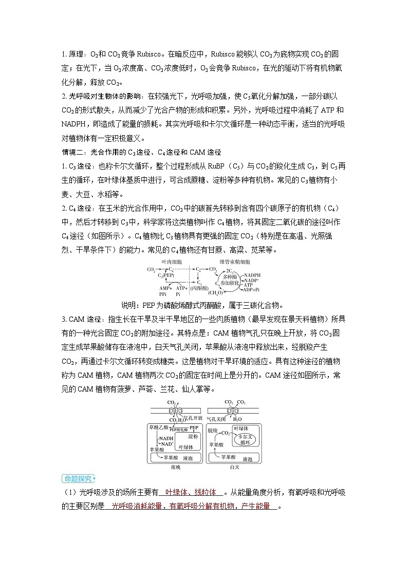 备考2024届高考生物一轮复习强化训练第三章细胞代谢课时4光合作用与能量转化情境热点3　光系统与电子传递链逆境下光合作用的特殊途径第3页
