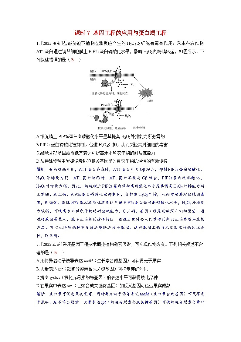 备考2024届高考生物一轮复习强化训练第十一章生物技术与工程课时7基因工程的应用与蛋白质工程第1页