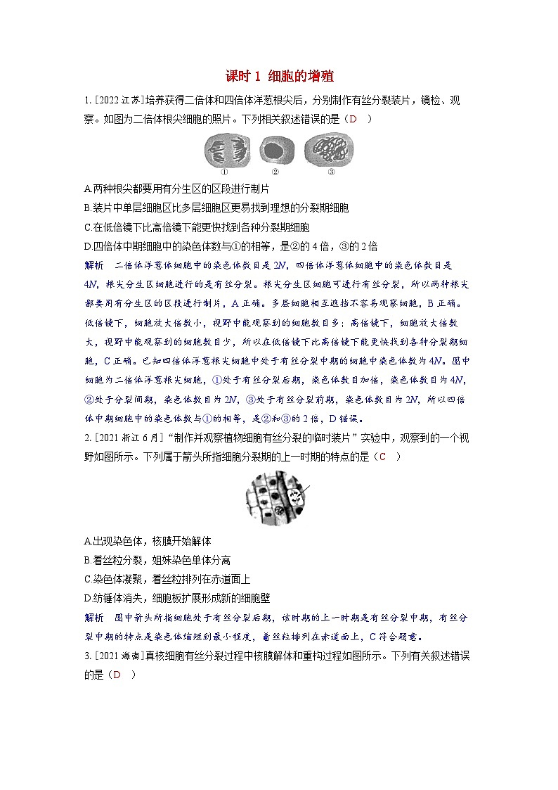 备考2024届高考生物一轮复习强化训练第四章细胞的生命历程课时1细胞的增殖第1页