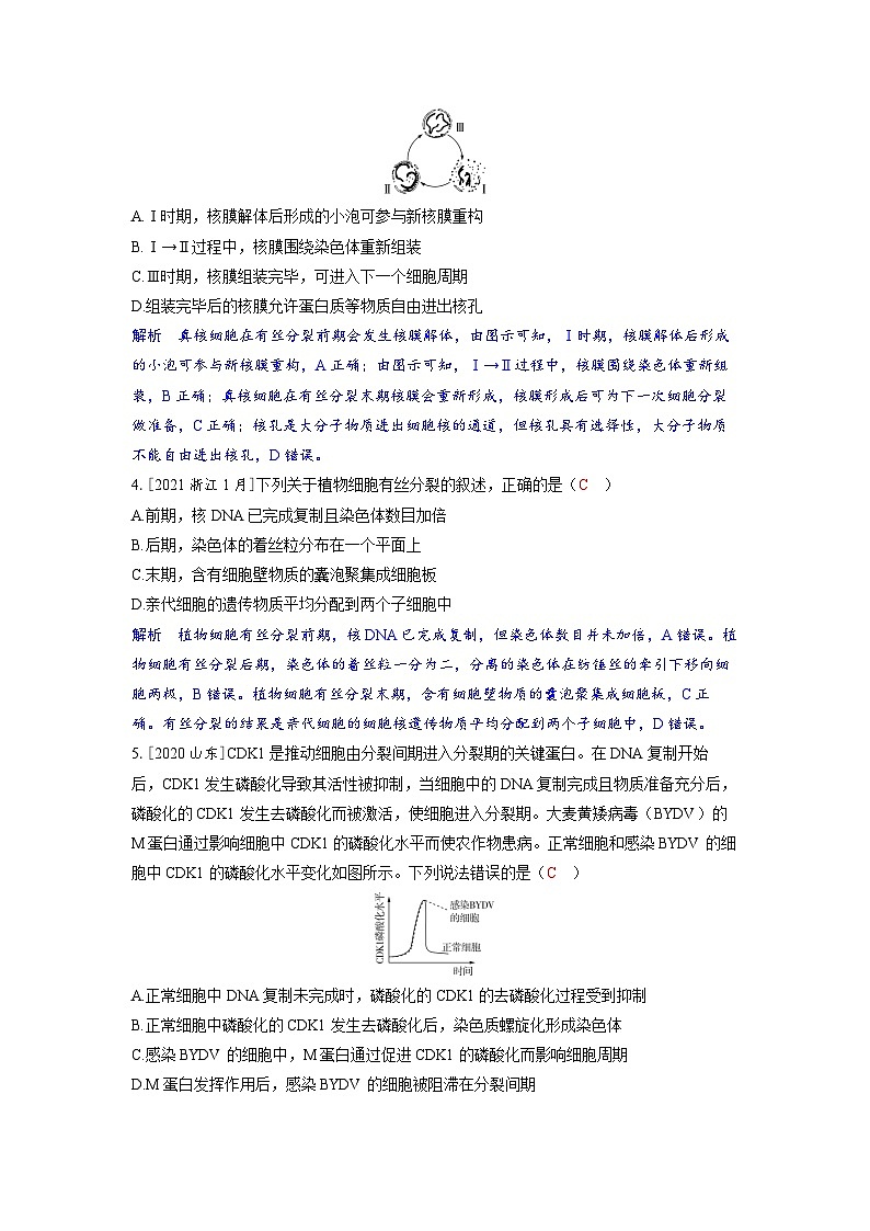 备考2024届高考生物一轮复习强化训练第四章细胞的生命历程课时1细胞的增殖第2页