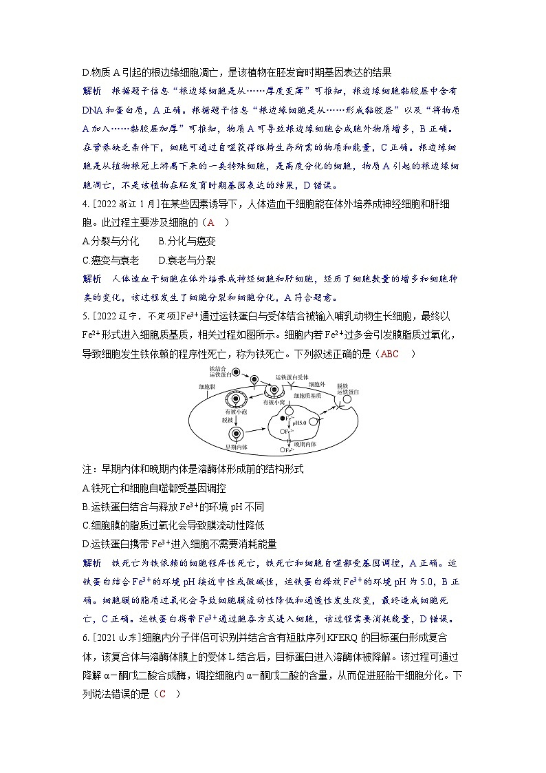 备考2024届高考生物一轮复习强化训练第四章细胞的生命历程课时3细胞的分化衰老和死亡02